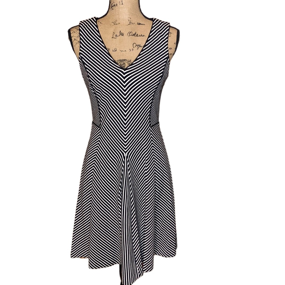 Banana Republic Women’s Black and White Striped A-Line Midi Dress